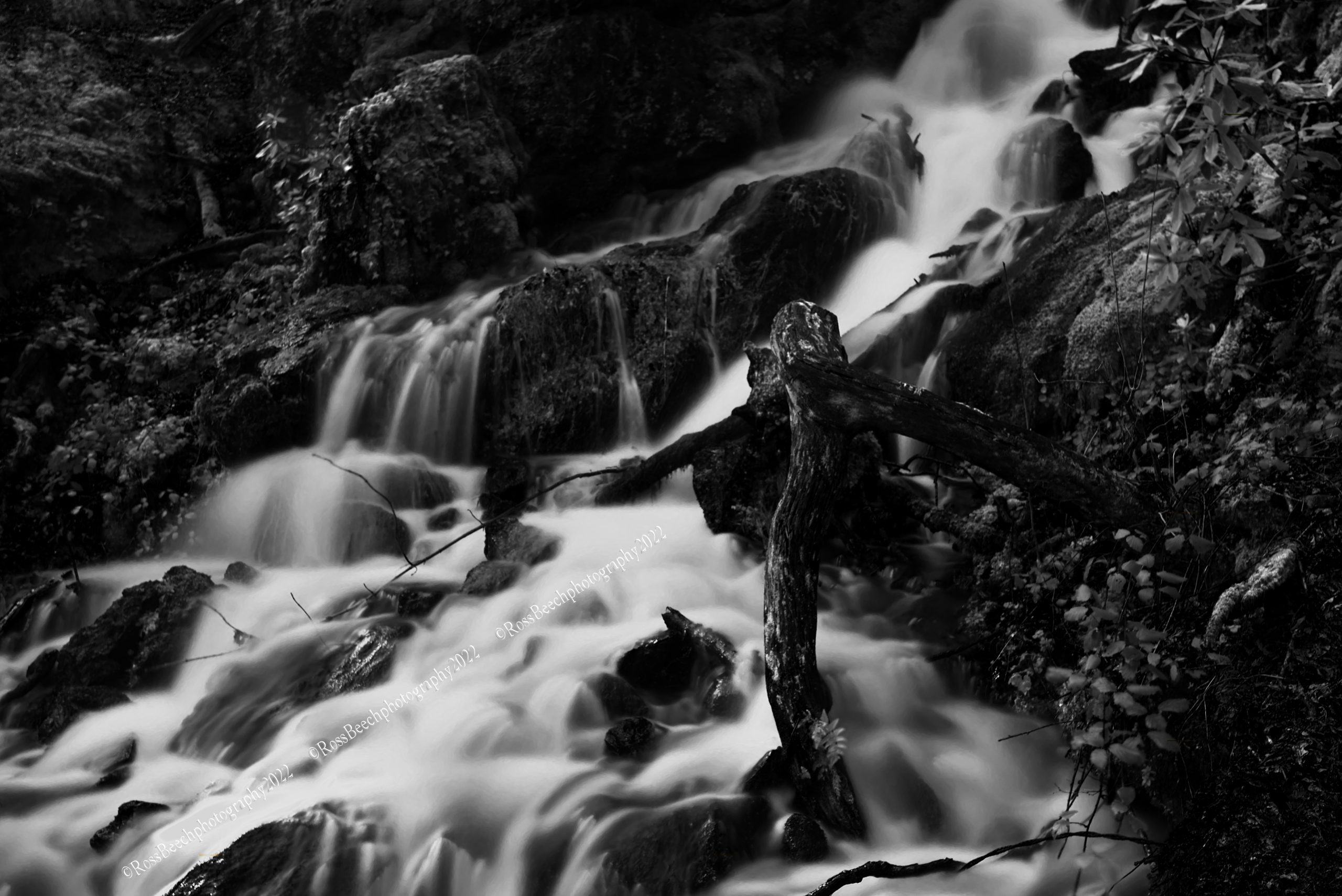 Inspired by Film, Focused on Nature
